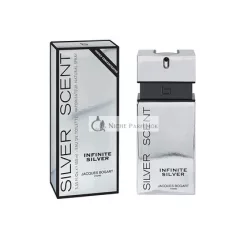   Jacques Bogart Silver Scent Infinite Silver Eau de Toilette für Herren 100 ml