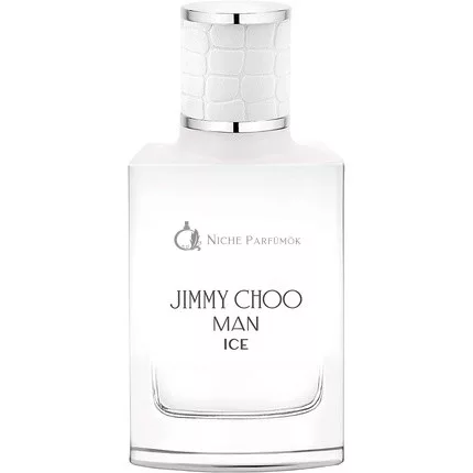 Jimmy Choo Man Ice Eau de Toilette für Herren 30 ml