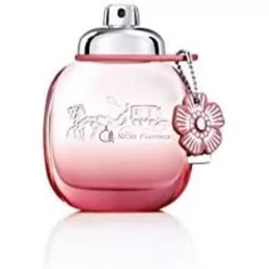 Coach Floral Blush Eau de Parfum für Damen 50 ml