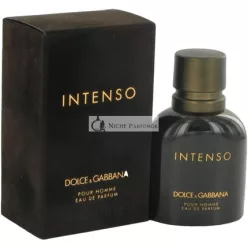   Dolce & Gabbana Pour Homme Intenso Eau de Parfum für Herren 200 ml