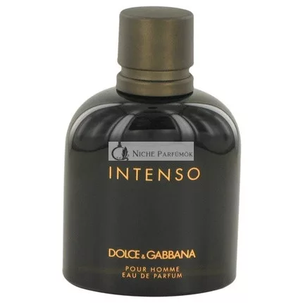 Dolce & Gabbana Intenso Eau De Parfum Spray, 125ml Tester