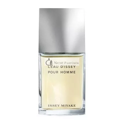L'eau d'Issey Pour Homme von Issey Miyake, 100ml Eau de Toilette