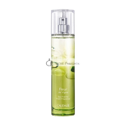 Caudalie Fleur de Vigne Friss Illat, 50ml