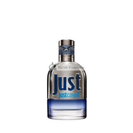 Roberto Cavalli Just Man Neu Eau de Toilette, 30 ml