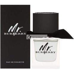 Burberry Mr. Burberry Eau de Toilette für Herren 100 ml