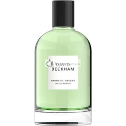   David Beckham Infinite Aqua Eau de Parfum für Herren 100 ml