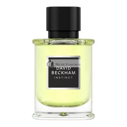 David Beckham Instinct Eau de Parfum, 50 ml