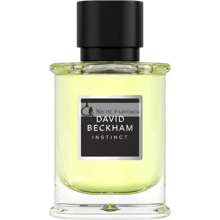 David Beckham Instinct Eau de Parfum