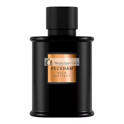 David Beckham Bold Instinct Eau de Parfum für Männer, 75ml