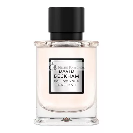 David Beckham Follow Your Instinct Eau de Parfum, 50ml