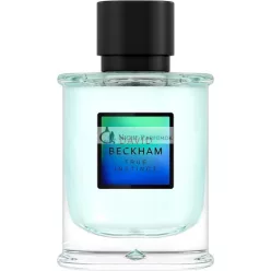 David Beckham True Instinct Eau de Parfum