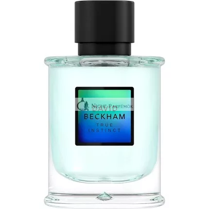 David Beckham True Instinct Eau de Parfum