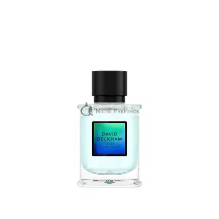 David Beckham True Instinct Eau de Parfum, 50ml