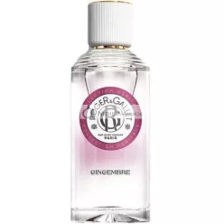 Roger & Gallet Ingwer Wellness Duftwasser 100ml