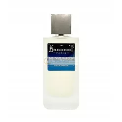 Brecourt Bad Boy Eau De Parfum, 100ml