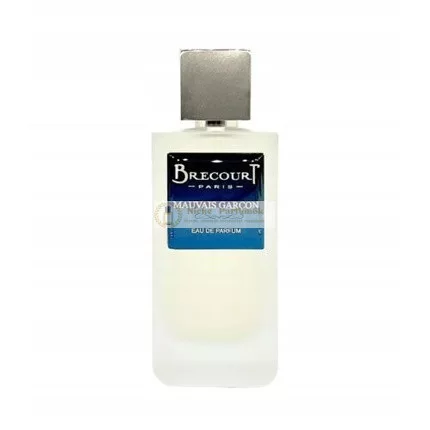 Brecourt Bad Boy Eau De Parfum, 100ml