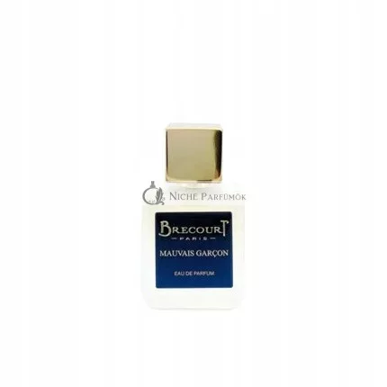Brecourt Bad Boy Eau De Parfum, 50ml