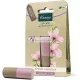 Kneipp Mandel Sensitive Care Lippenbalsam