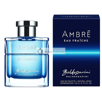 Baldessarini Ambré Eau Fraiche Eau de Toilette für Herren 90 ml