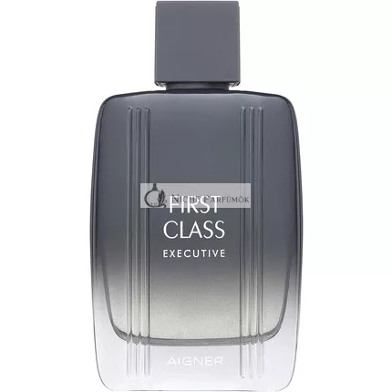 Etienne Aigner First Class Executive Eau de Toilette, 100ml