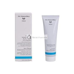 Dr. Hauschka Intenzív Jég Növény Krém 50ml