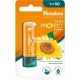 Himalaya Napvédő Ajakbalzsam SPF 50 és UVA Sugárvédelem, 4.5g