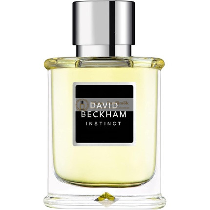 David Beckham Instinct Eau De Toilette, 75 ml