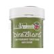 La Riché Directions Semi-Permanent Conditioning Hair Colour semi-permanente-haarfarbe Fluorescent Lime 88 ml