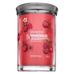 Yankee Candle Tumbler Red Raspberry 567 g