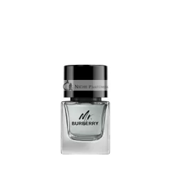 Mr Burberry Eau De Toilette Spray für Männer, 50ml