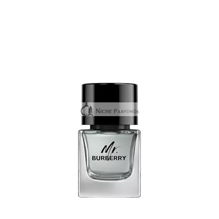 Mr Burberry Eau De Toilette Spray für Männer, 50ml