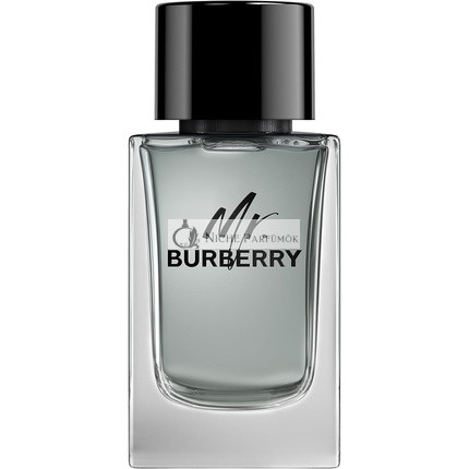 Burberry Eau de Toilette Spray für Männer, 150ml
