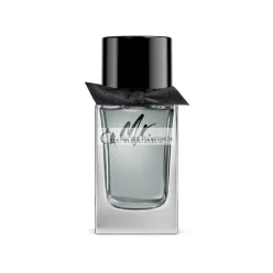 BURBERRY Mr. BURBERRY Eau de Parfum für Männer, 150ml