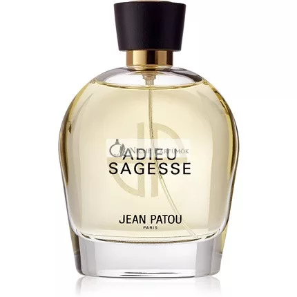 Jean Patou Adieu Sagesse Heritage Collection Eau de Parfum Spray für Frauen, 100ml