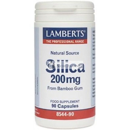 Lamberts Silizium 200mg 90 Kapseln