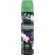 Yardley Magnolia & Fig Körperspray 75 ml für Sie Reisegröße