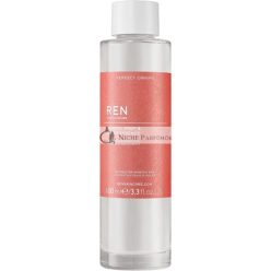   REN Clean Skincare Perfect Canvas Smooth Prep and Plump Essence, 100ml
