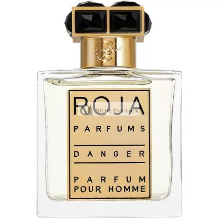 Roja Parfums Danger Pour Homme Parfüm für Herren 50 ml