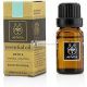 Apivita Pfefferminzöl 10ml
