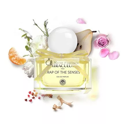 MIRACULUM Eau de Parfum TRAP OF THE SENSES Frische Zitrusnoten Ausdrucksstarkes Parfüm für die elegante Frau Ideal für den Tag Langanhaltende Geschenkidee