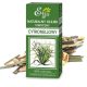Zitronella ätherisches Öl 10ml ETJA