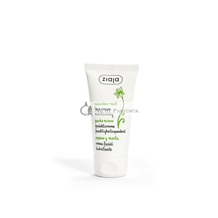 Pepino Y Menta Feuchtigkeitscreme für das Gesicht 50ml