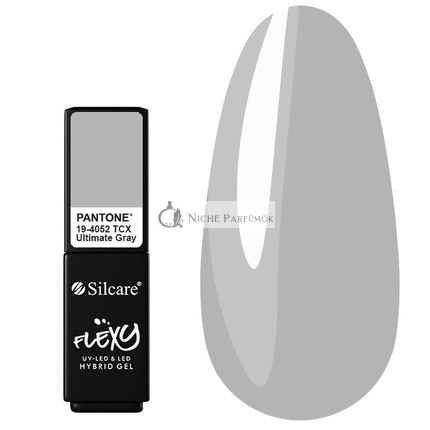 Silcare FLEXY 21/2 Trendfarben des Jahres 4.5g