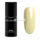 NEONAIL UV Nagellack FARB MICH AUF 7.2ml Willkommensart