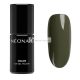NEONAIL UV Nagellack 7.2ml Grün Entdecke Die Welt Farbgel Nägel Nageldesign Shellac