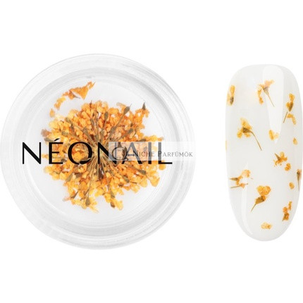 NEONAIL Getrocknete Blumen für Nägel - Orange, 1 Stück