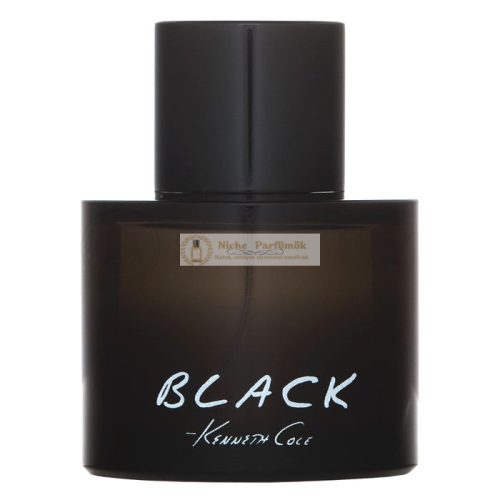 Kenneth Cole Black Eau de Toilette für Herren 100 ml