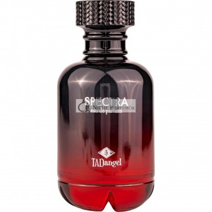Tad Angel Spectra Homme Eau De Parfum, 100 ml