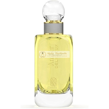 Amber Deliceux Herrenparfüm EDP Spray, zitrische frische Noten mit warmem Amber und würzigen Akkorden, 100ml