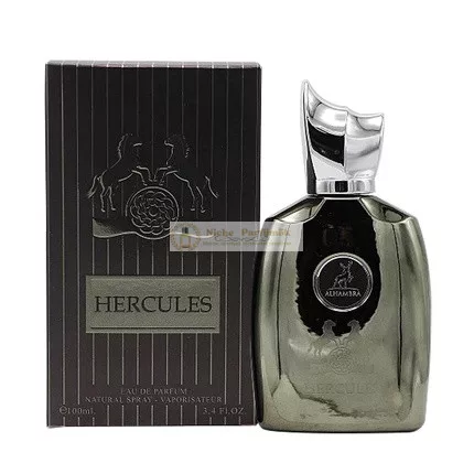 Hercules Woody Spicy Eau de Parfum für Männer, 100ml